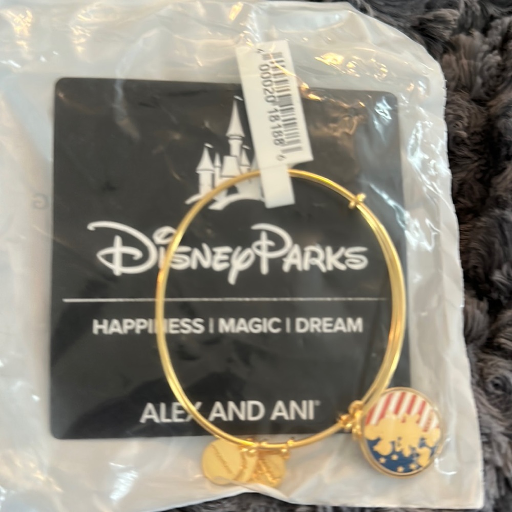 Alex and Ani disney parks bracelet